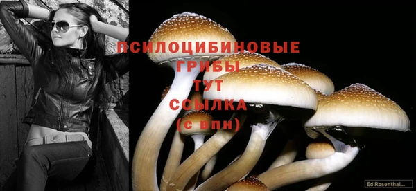 jwh Армянск