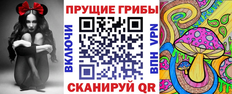 kraken ONION  Сясьстрой  Псилоцибиновые грибы GOLDEN TEACHER 